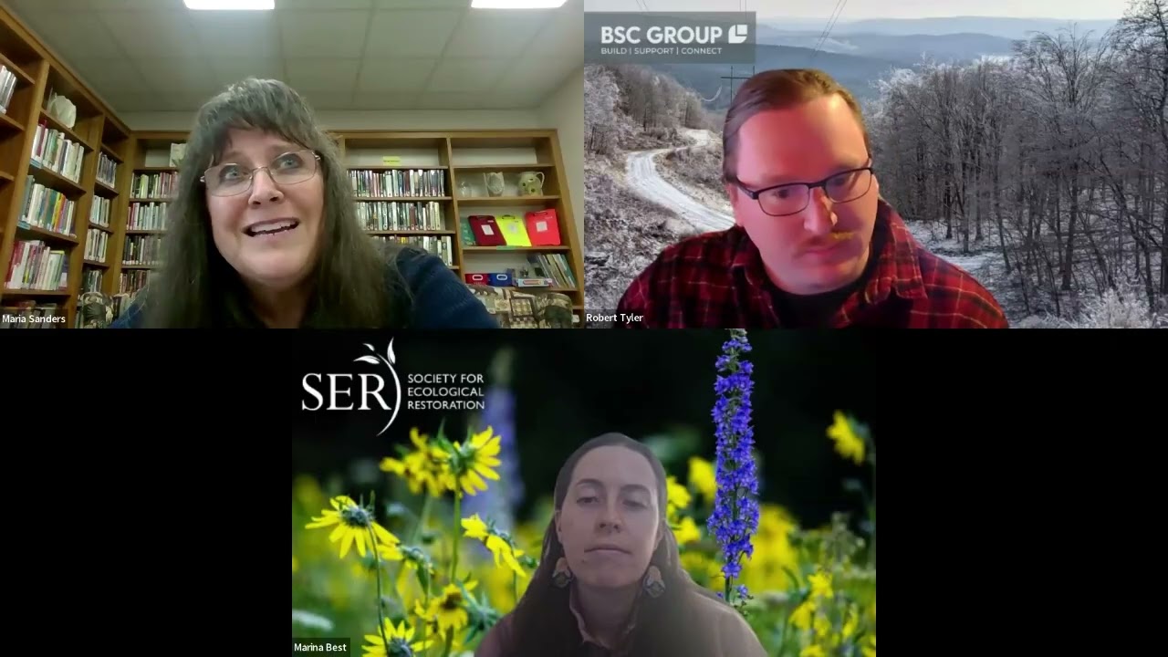 SWS March Webinar: Professional Ethics Panel & Discussion