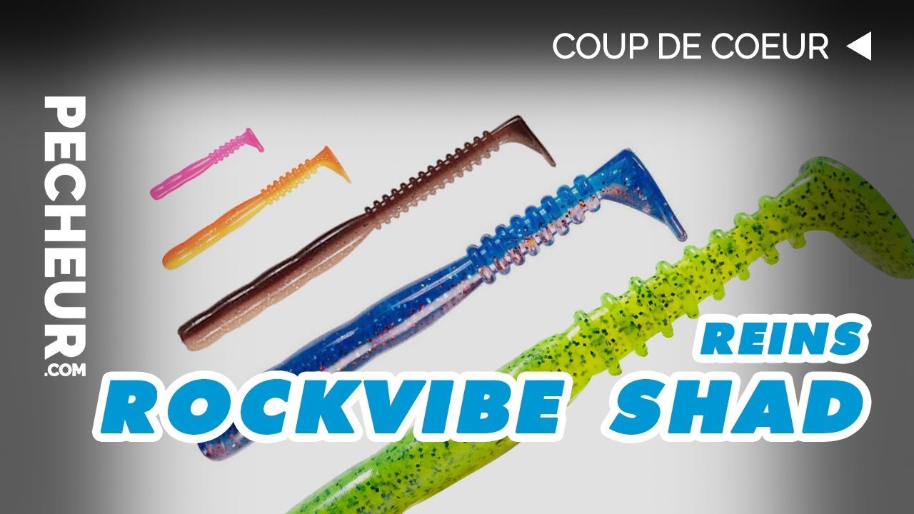 Les Rockvibe Shad de Reins