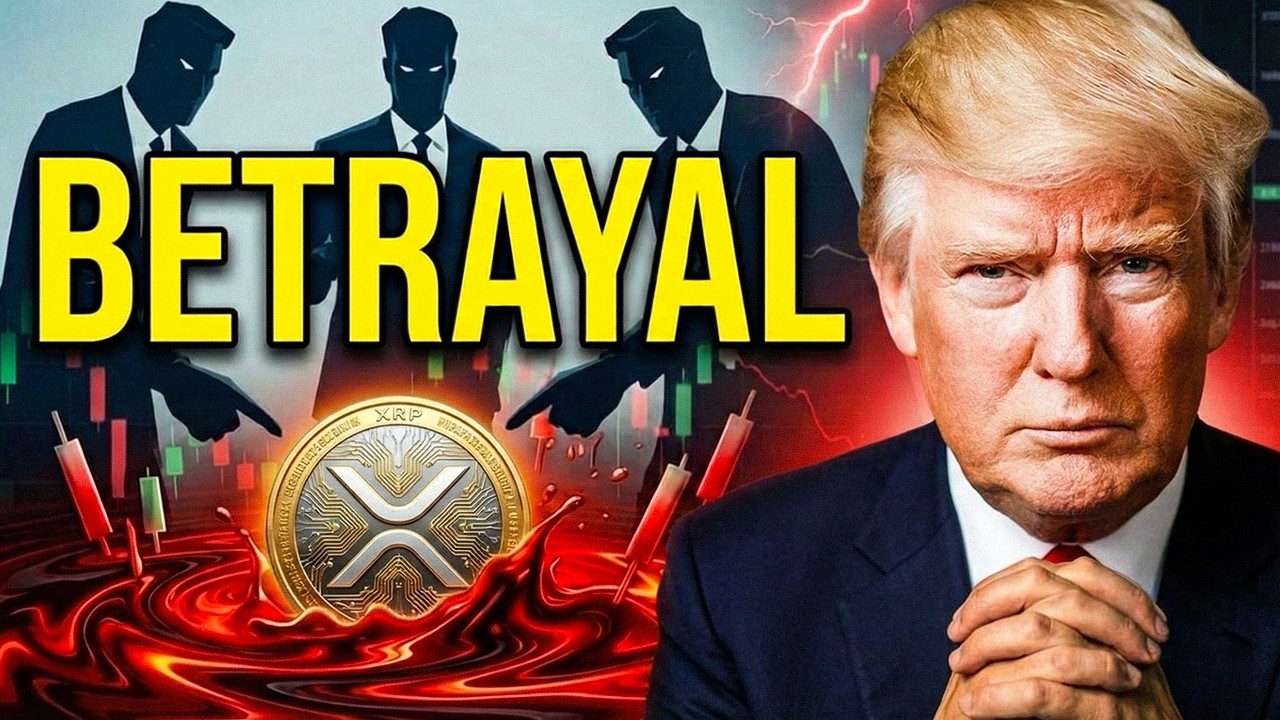 WTF!!! They're Getting RICH While XRP Holders Get CRUSHED!!!