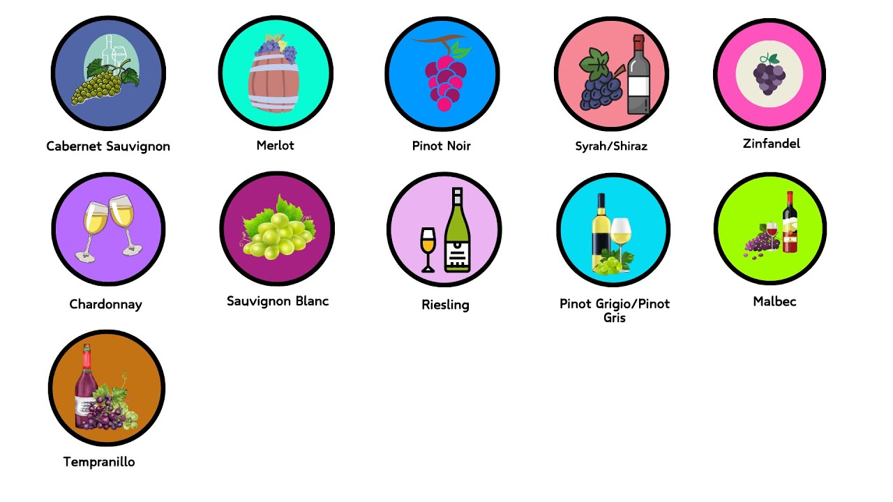 Every Wine Type Explained in 15 minutes
