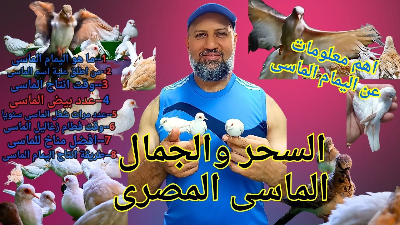حلقة عن السحروجمال اليمام الماسى