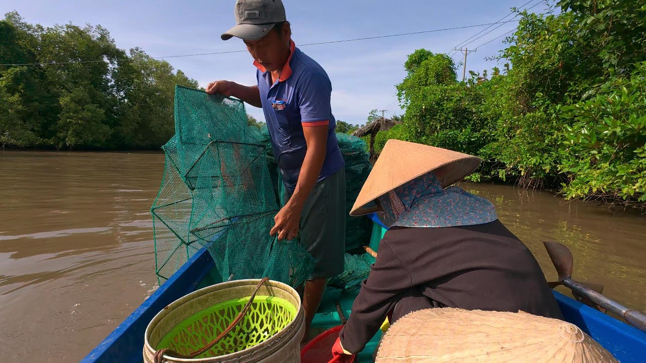 Kéo 12 Cửa Ngục Mùa Nước Lên | Đặc Sản Cà Mau TV