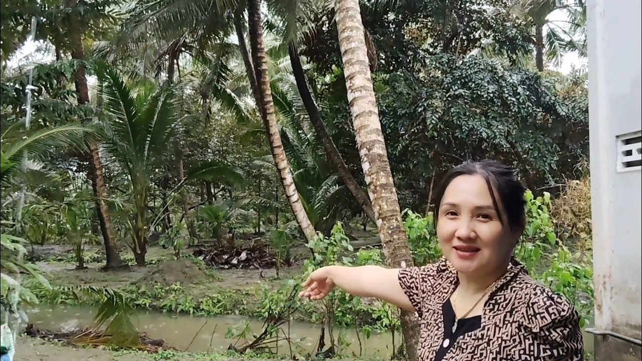 Cơn Mưa Mùng 10 Từ Trưa Đến Tối, Ăn Vội Bánh Chuối , Chứa Nước Đủ Sài Cả Năm Quá Mừng 