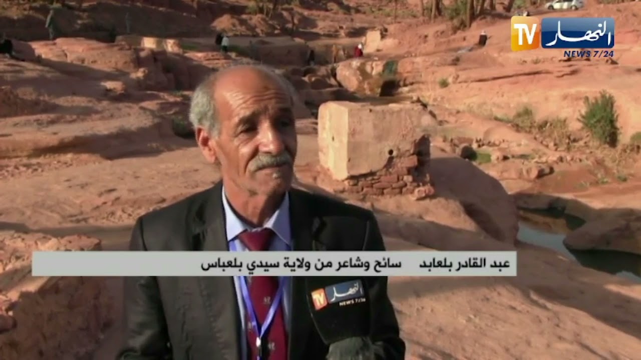 النعامة: 