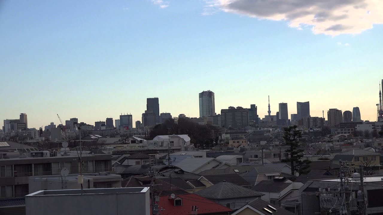 SONY FDR-AX100 First shot レビュー4K Ultla HD