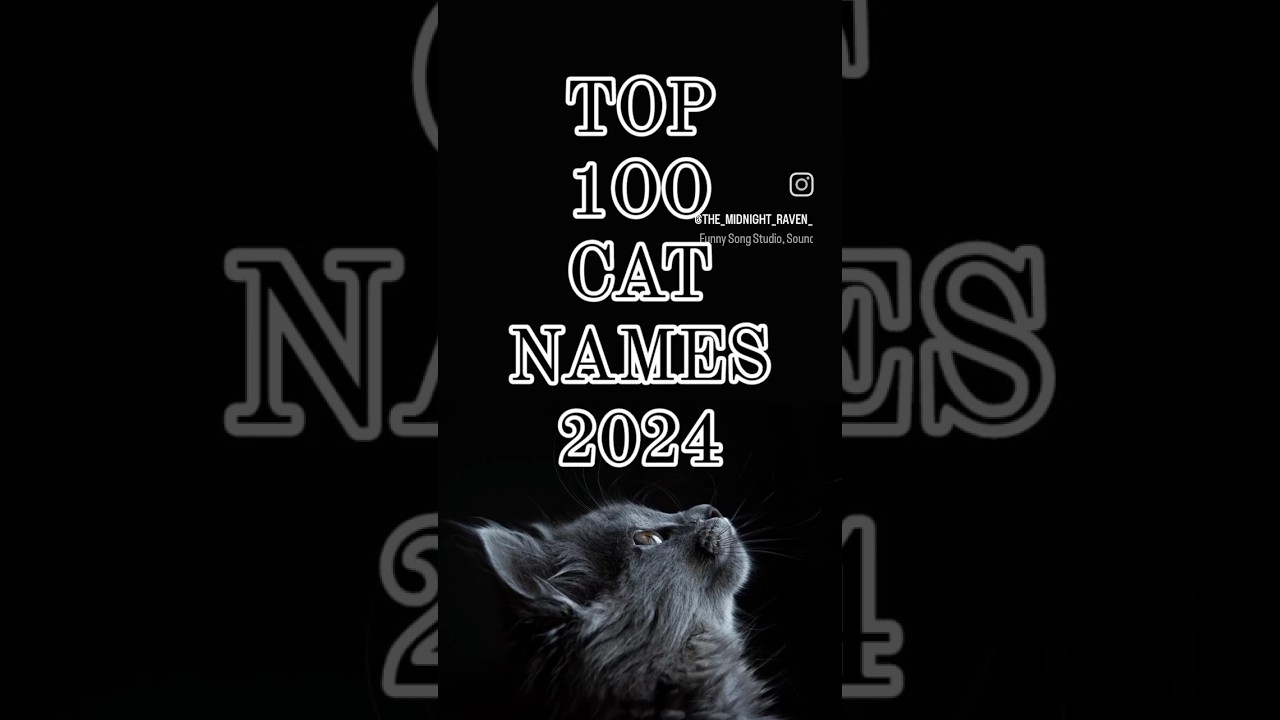 TOP 100 CAT NAMES OF 2024 45 - 41 