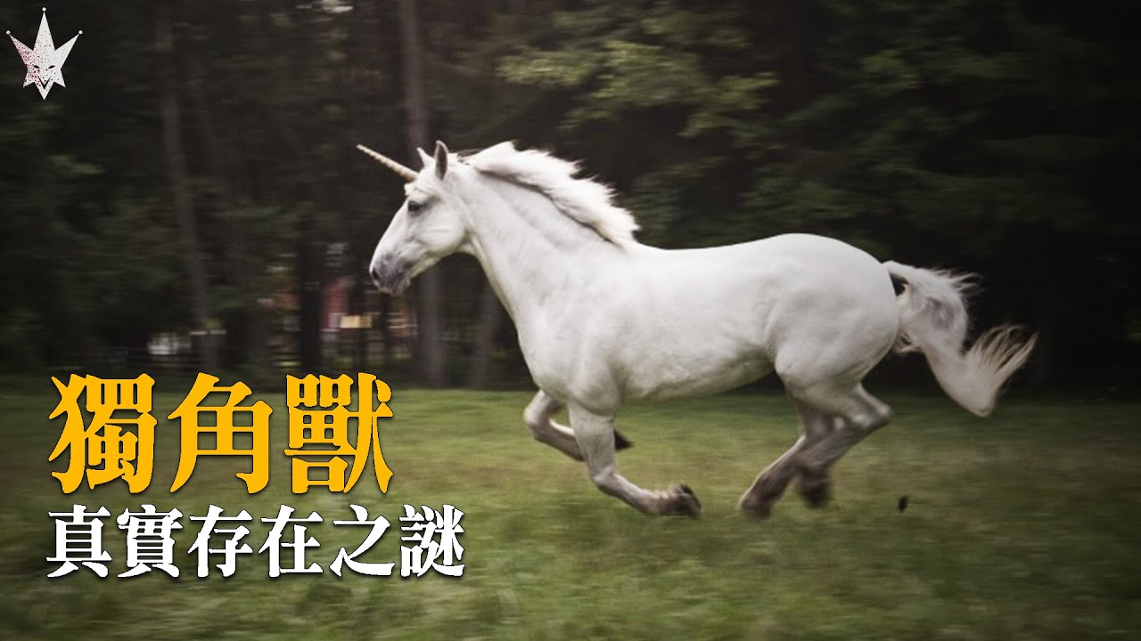 「獨角獸」存在於虛實之間的白馬獨角生物，西伯利亞發現證明獨角獸存在的化石，但或許跟想像的不太一樣。