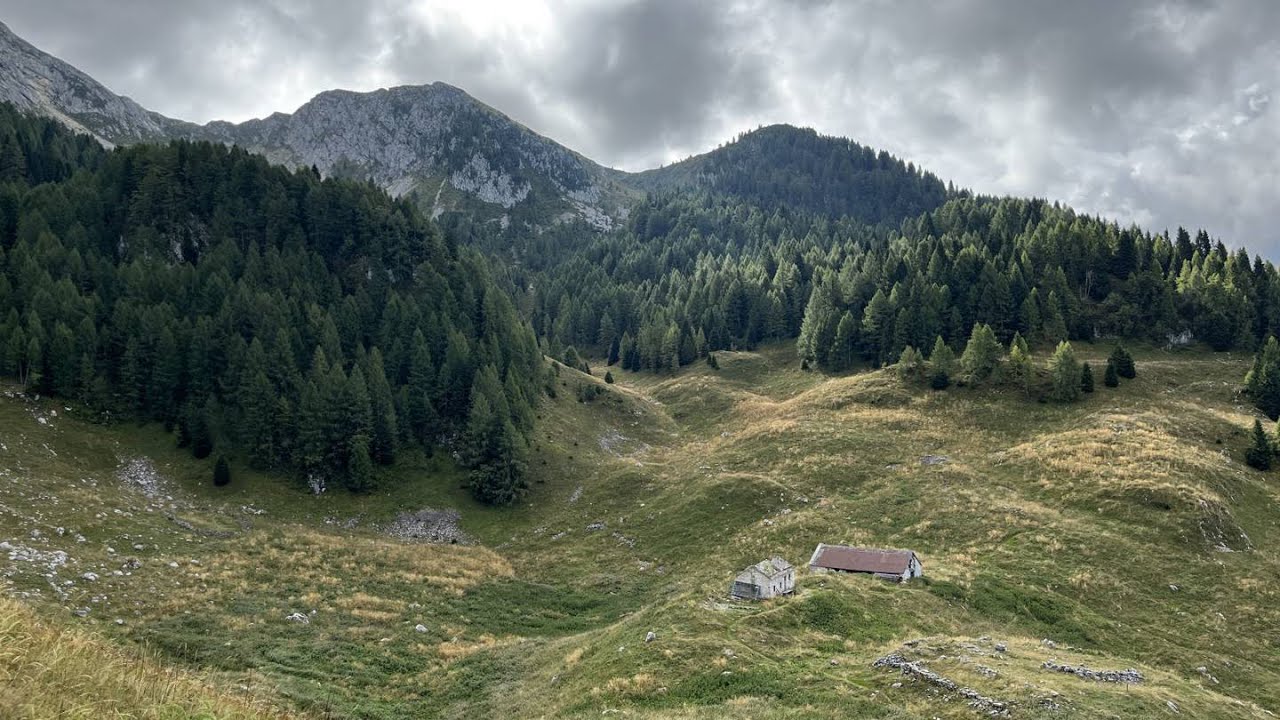 PIANCAVALLO - Giro Palantino tra camosci