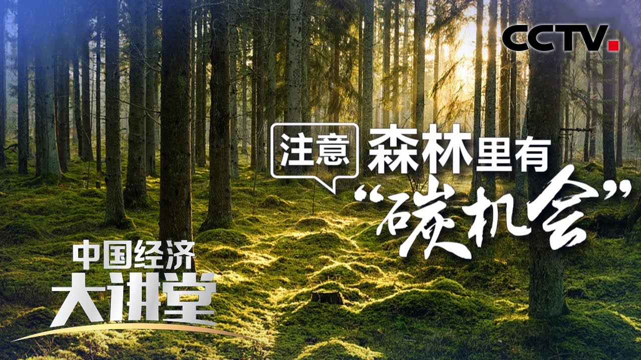 我们该如何发展森林？能不能从森林里找到实现“双碳”目标的关键力量？「中国经济大讲堂」20220123 | CCTV财经