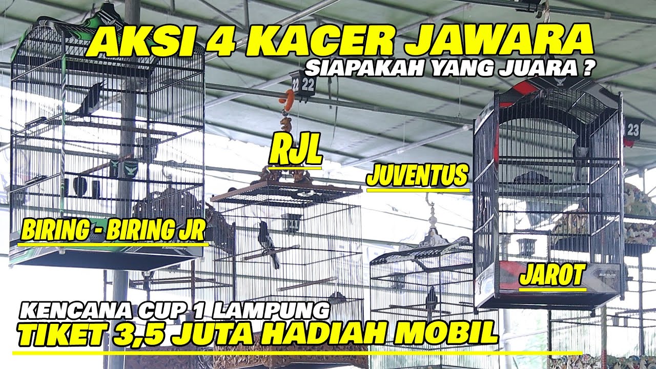 KENCANA CUP 1 : AKSI 4 KACER TIKET 3,5 JUTA HADIAH MOBIL😱PERTARUNGAN SENGIT || SIAPAKAH YANG JUARA ?
