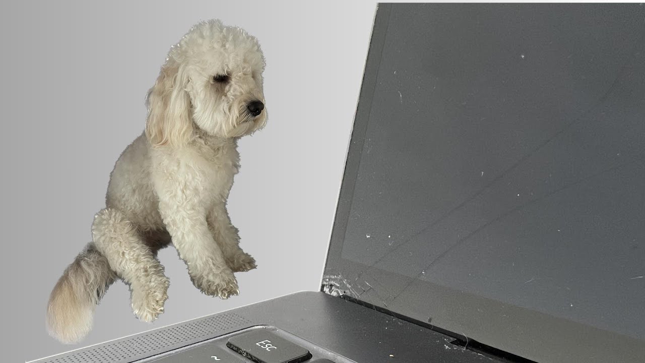 Laptop Huawei MateBook X Pro 13 wymiana matrycy (wyświetlacza) - uszkodzona matryca - serwis naprawa