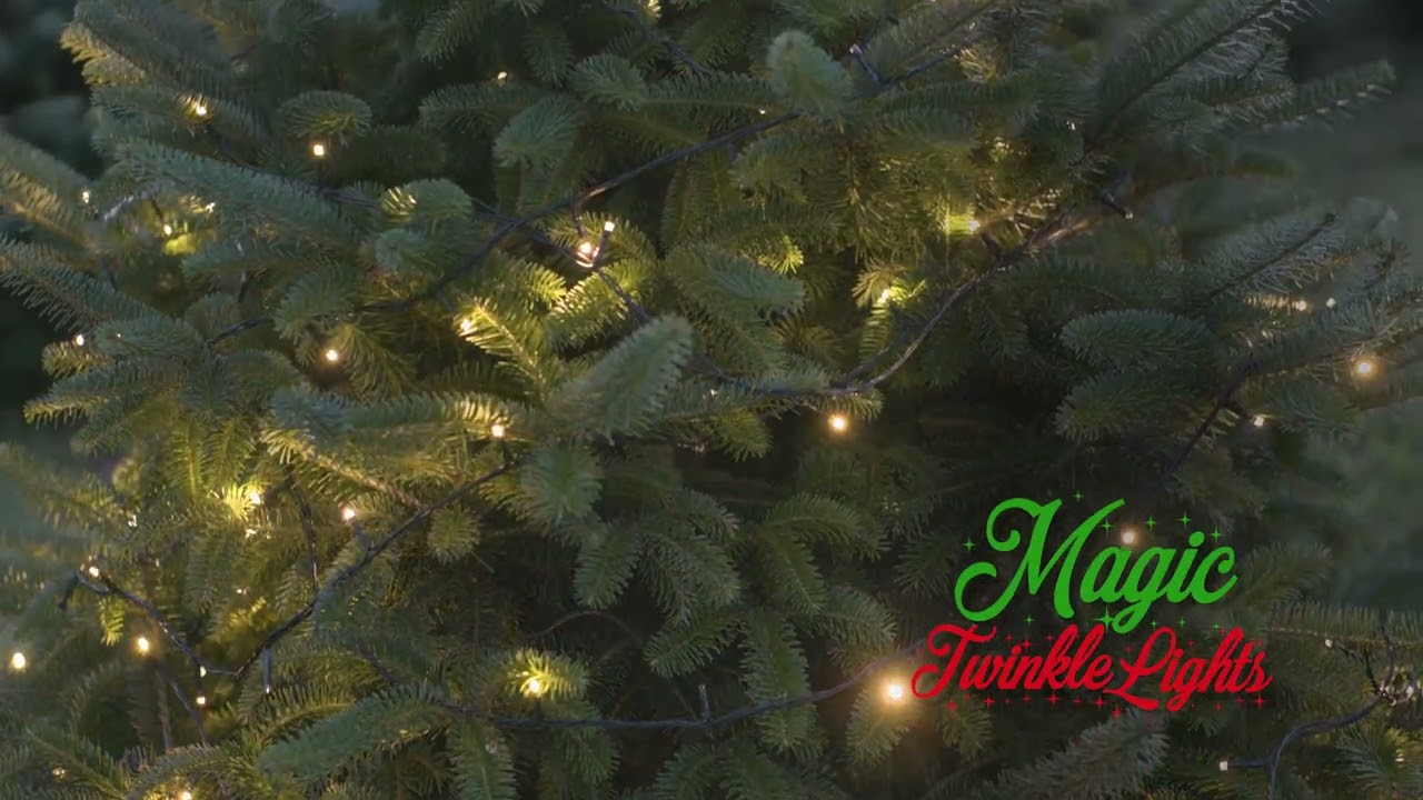 2025 BEST SOFT TWINKLE LIGHTS! LED and TRUE WARM WHITE and SOFT TWINKLE