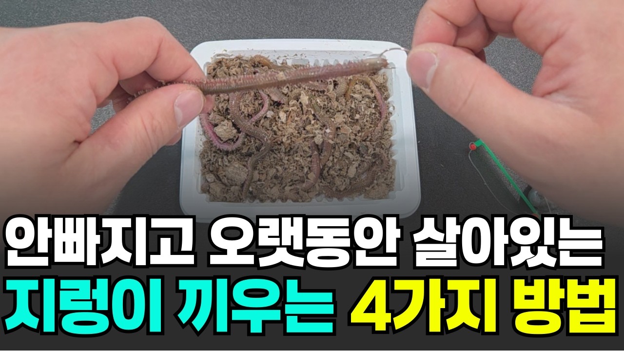 한번 알아두면 평생 써먹는 쉽게 배우는 미끼 끼우는 방법