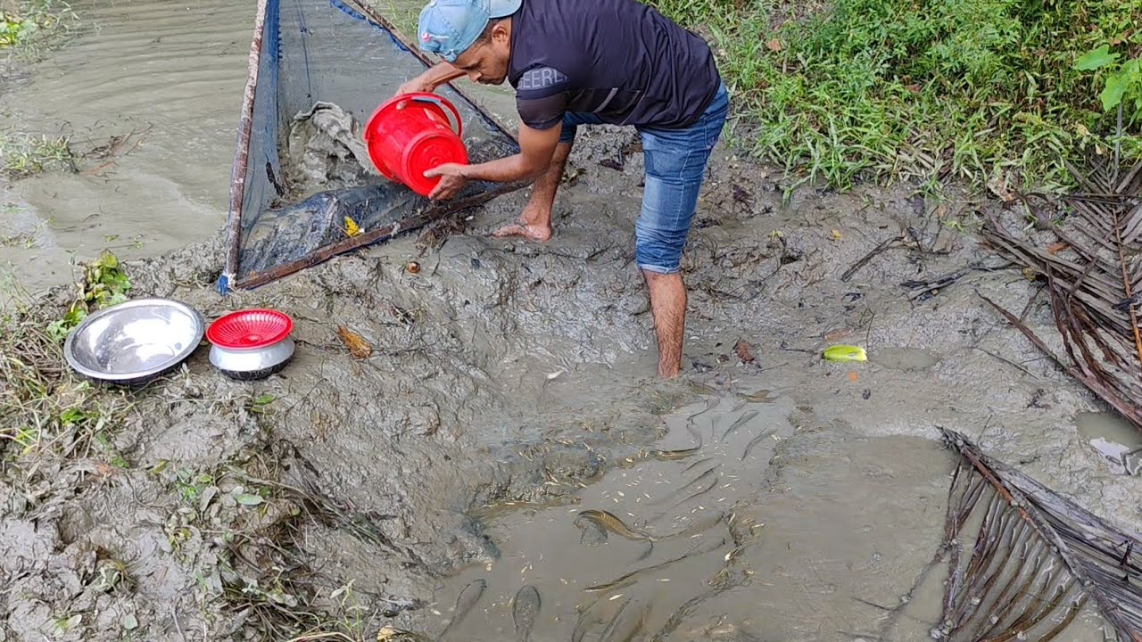 Village Fishing Technique 🐟 Best Think Fishing Video 🐟 Unique Fishing Techniques 🐟 Natural Fishing