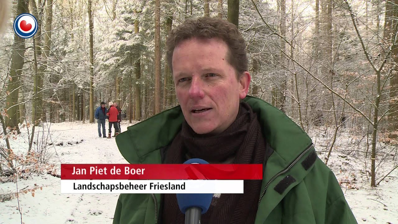 Frijwilligers Steatsboskbehear gean striid oan mei Vogelkers