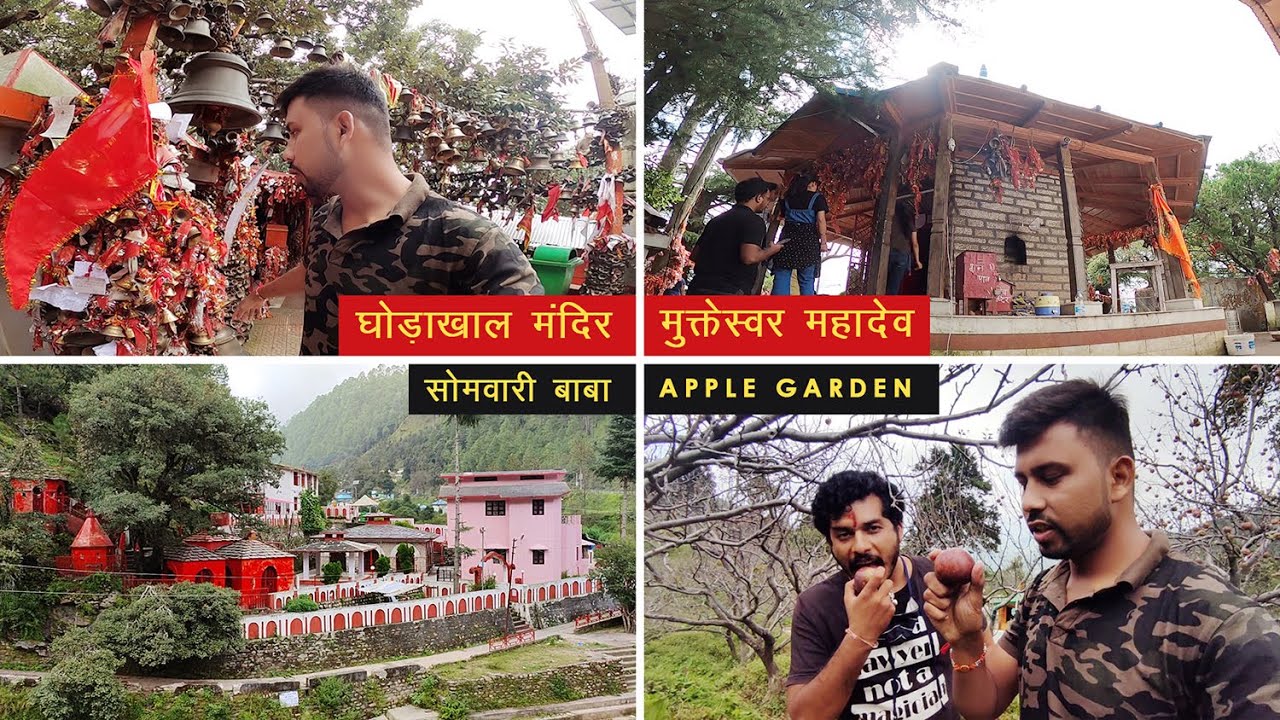 एक दिन में घूमे Ghorakhal, Mukteshwar, Chauli Ki Jali, Apple Garden, Somvari Baba | Moodie Traveller