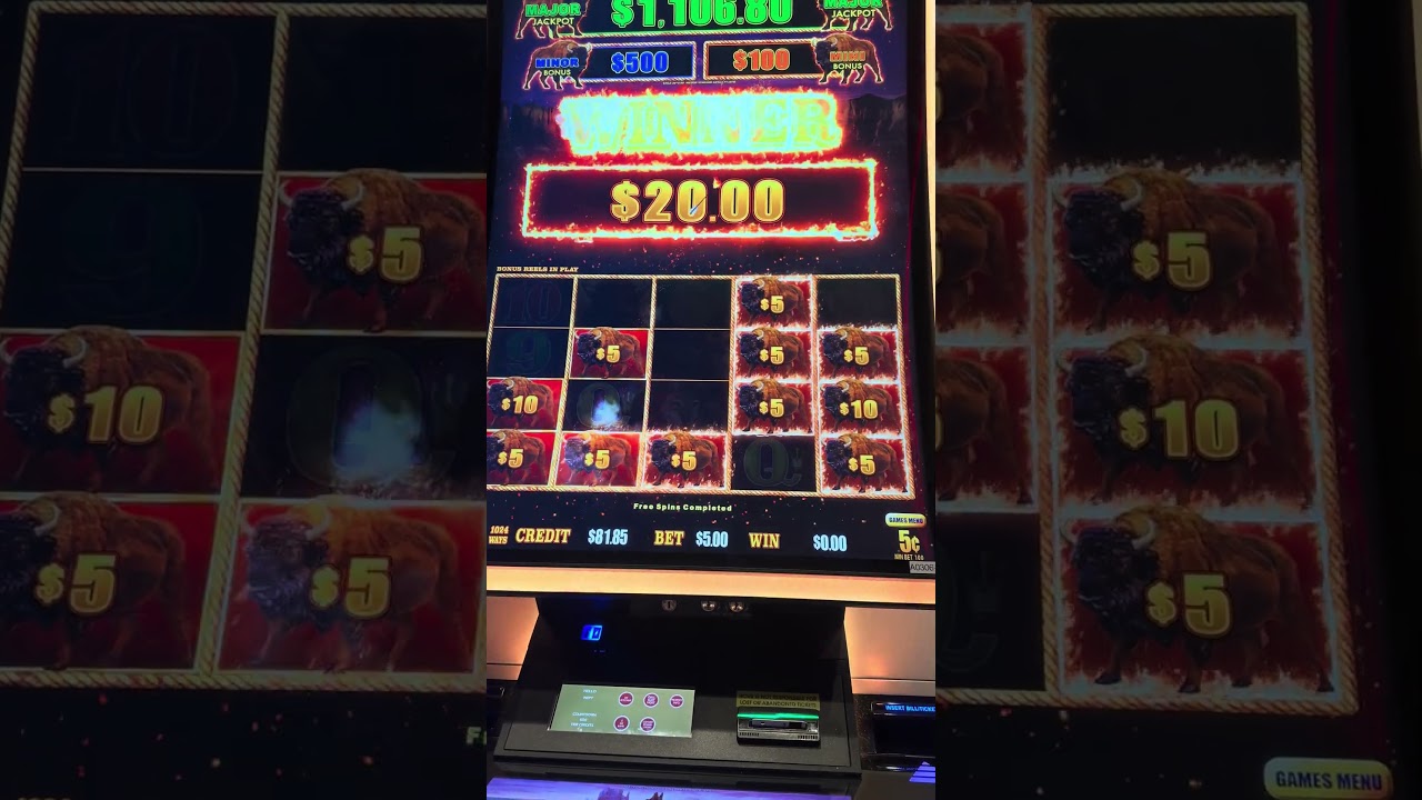 You Won’t Believe What Happened in This Bonus Round! 🎰💥 