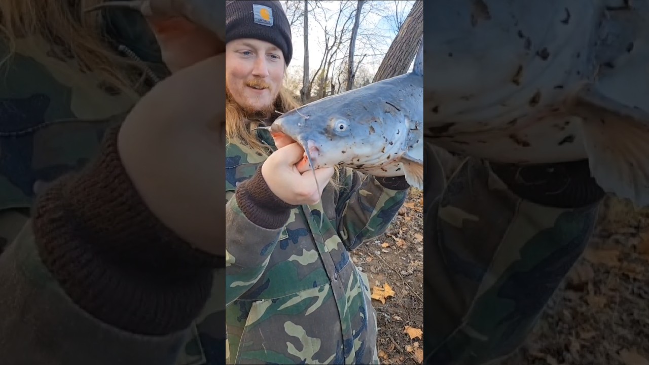 BLUE CATFISH LIVE IN THE OHIO RIVER AND I CAUGHT ONE! 💥