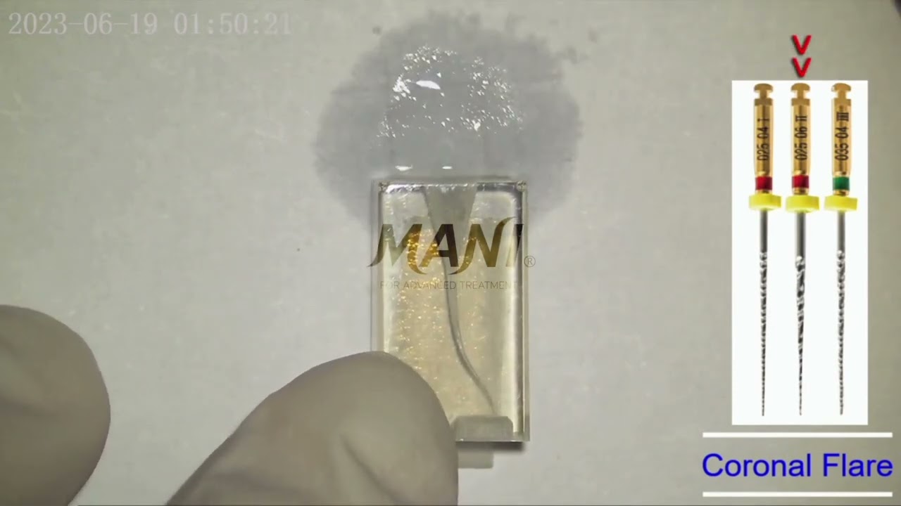 Mani- Jizai- Step by Step