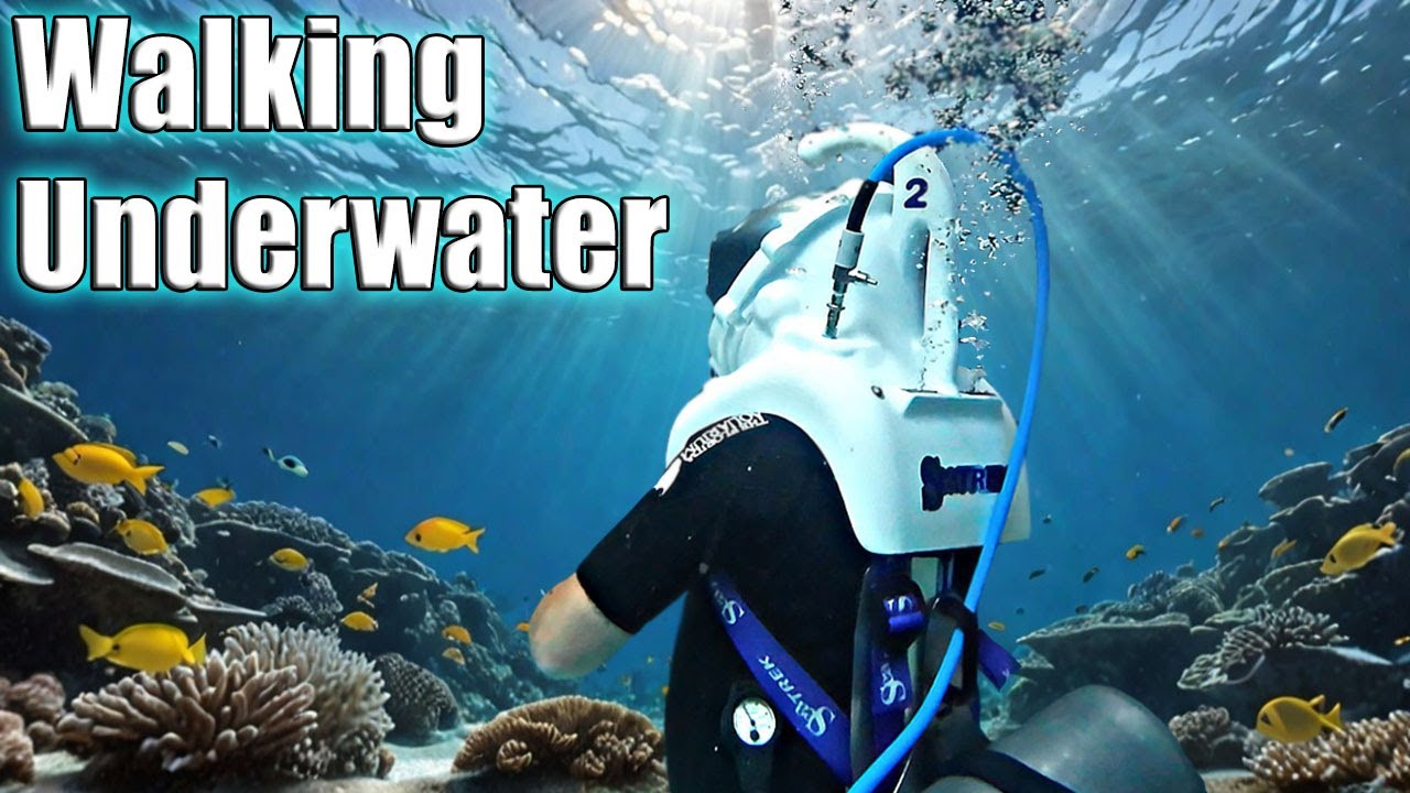 Florida Aquarium's SeaTrek Experience: A Guided Underwater Walking Tour