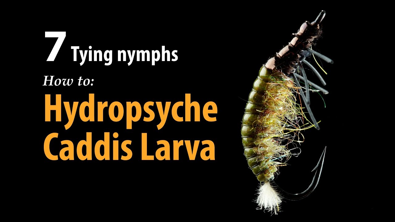 How to &bull; Fly tying &bull; Hydropsyche Caddis Larva &bull; fishing tips
