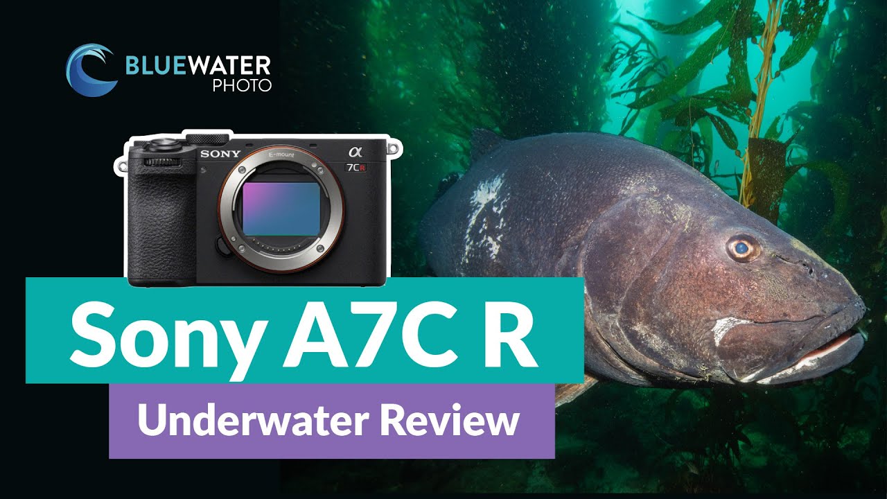 The Camera Underwater Photographers have been waiting for!? Review of the Sony A7C-R!