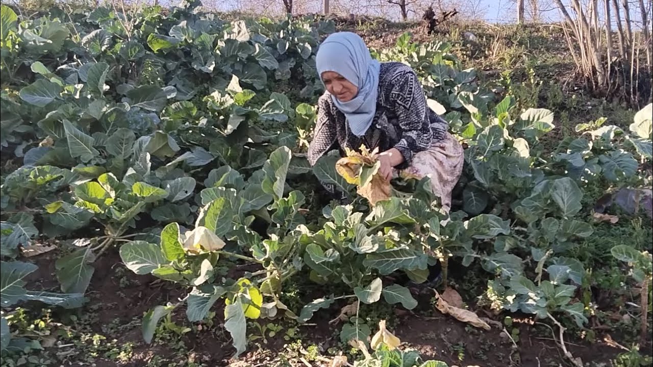 KARABAŞIN MAMASI HAZIRLANDI👍BAHÇELER TEMİZLENDİ