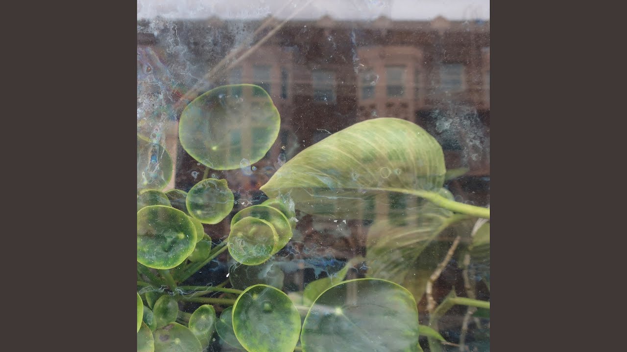 New Leaf