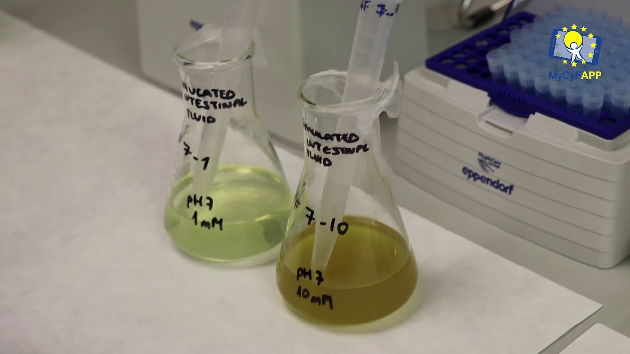 Static in vitro digestion method