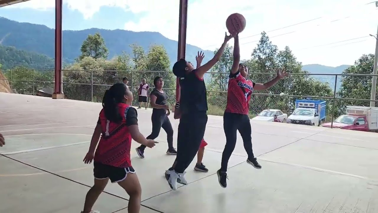 Fiesta Anual en Honor A la  Virgen de Guadalupe en Llano de Epazote, Guerrero 2026