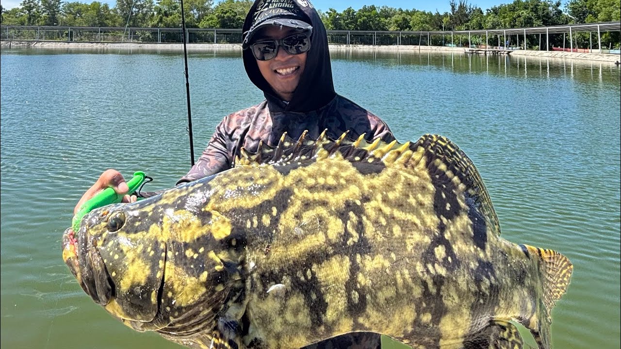 Kolam Pancing Kerapu Hybrid di Tuaran Sabah