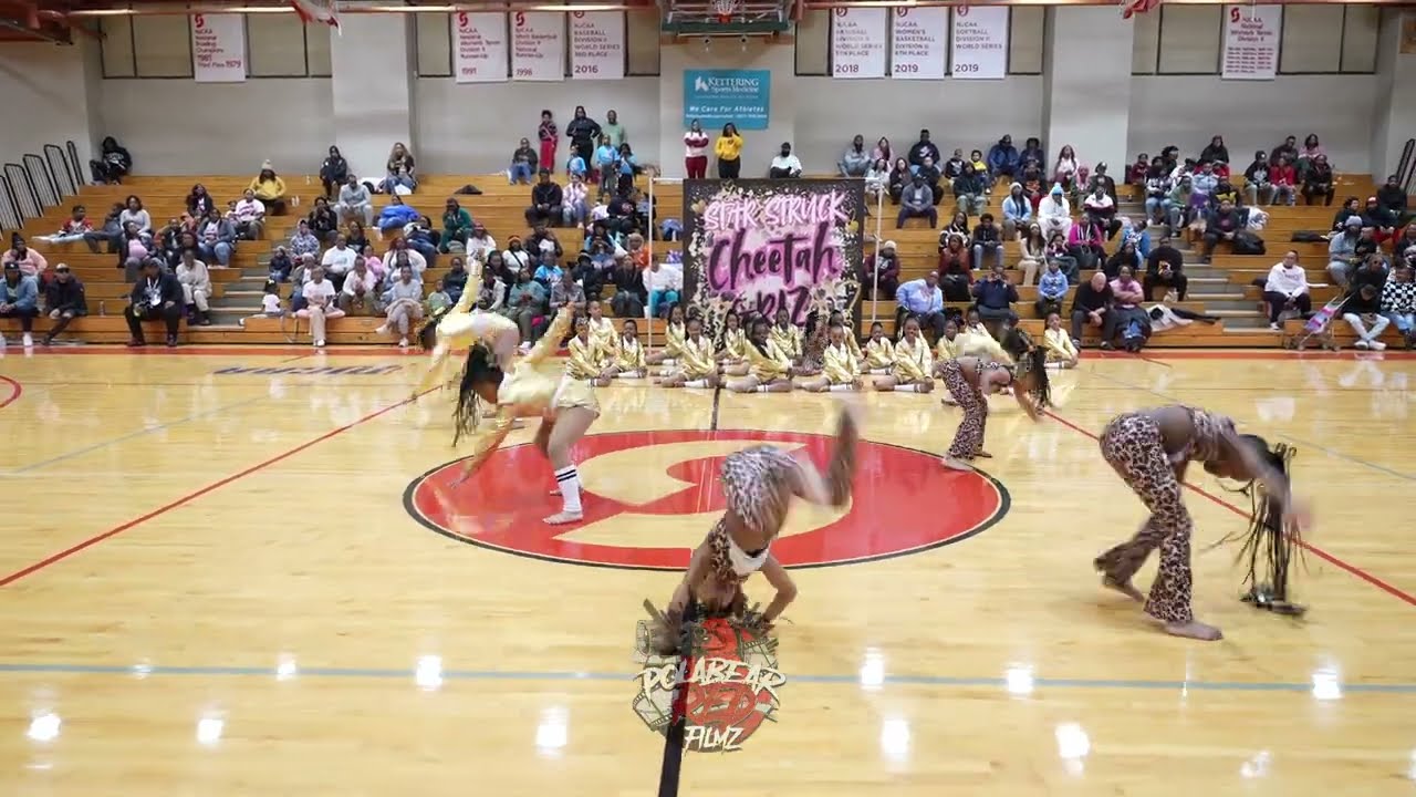 Star Struck Superstars | Minis | Fieldshow | 3DOC | Rumble in the Jungle | Dance Competition