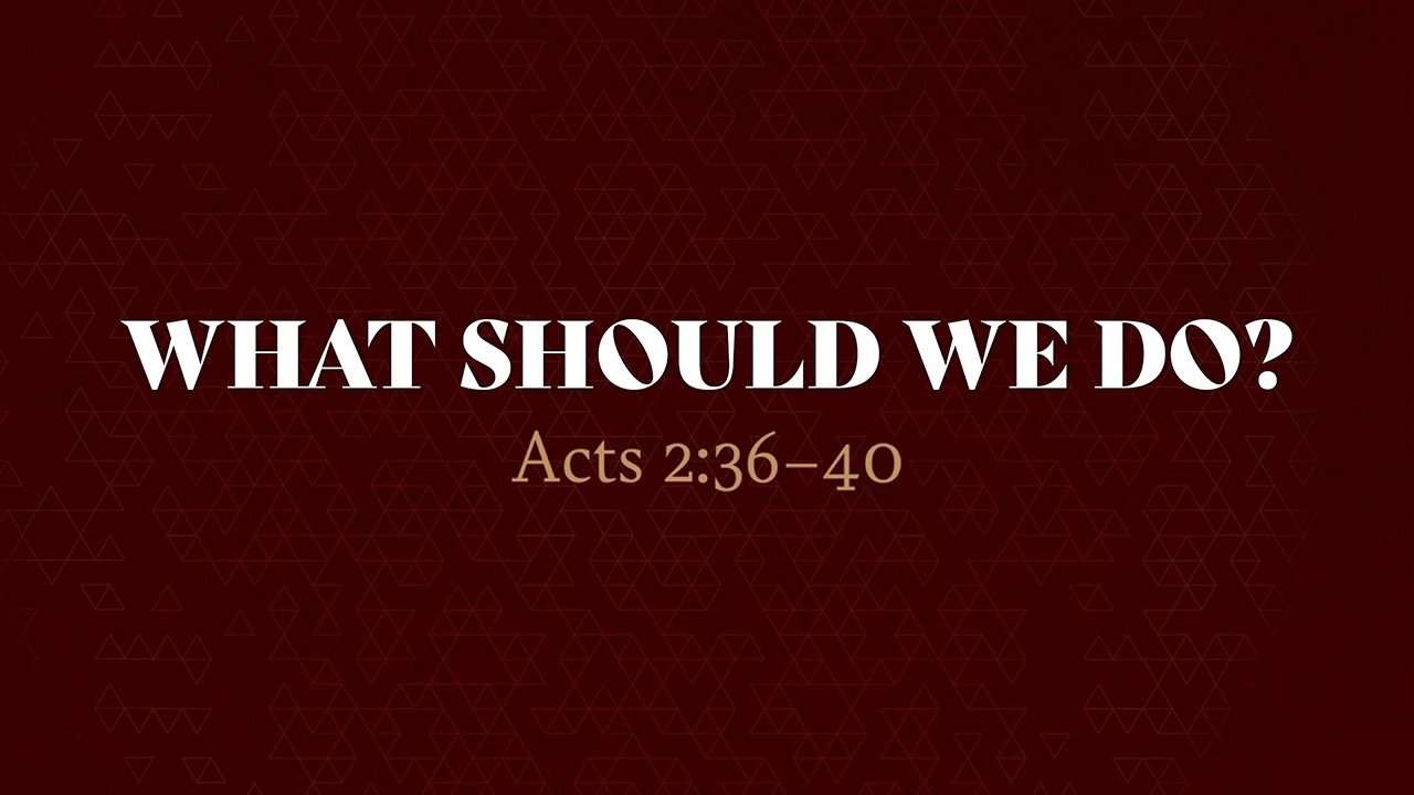 What Do We Do? | Lead Pastor Steve Caballero | Wednesday, March 4, 2026