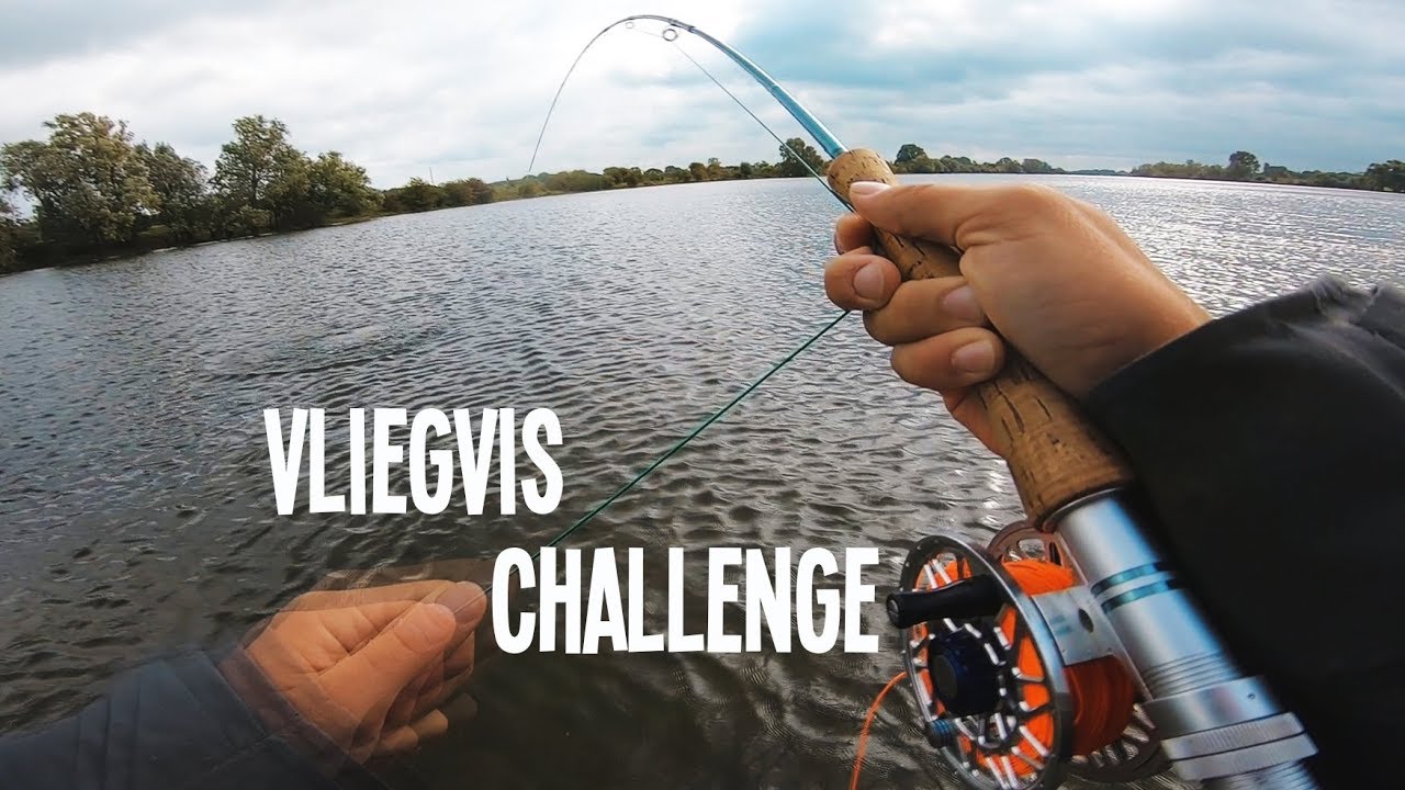 Vliegvischallenge! - VisTD Vlog #8