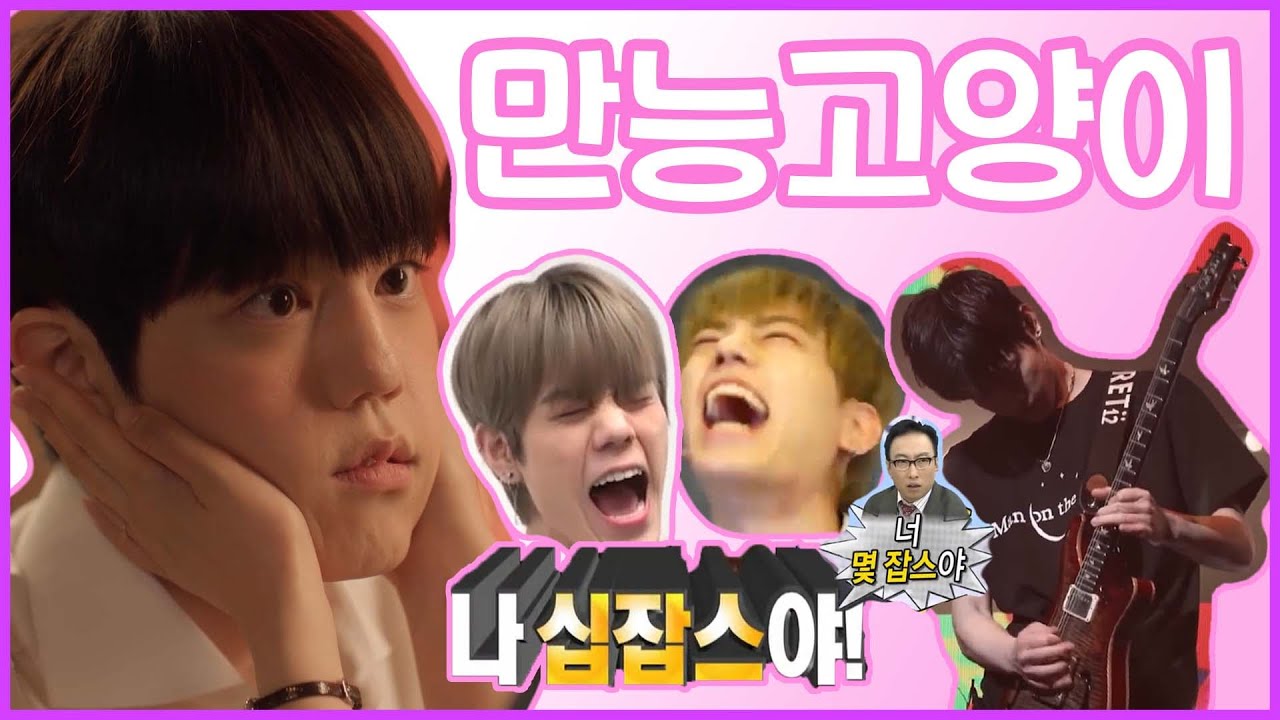 너 몇잡스야?! 우리 고먐미 십잡스야!!! | 엔플라잉 | 만능고양이 차훈