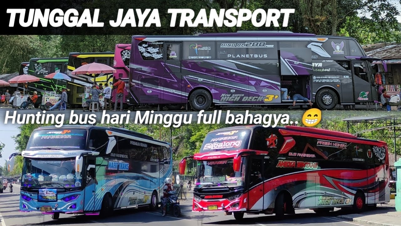 Rombongan tunggal jaya pecahkan suasana Minggu sore di parkiran candi Borobudur ‼️🔥