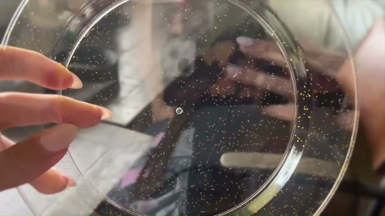 Must have Disposable Party Plates.That look like real china