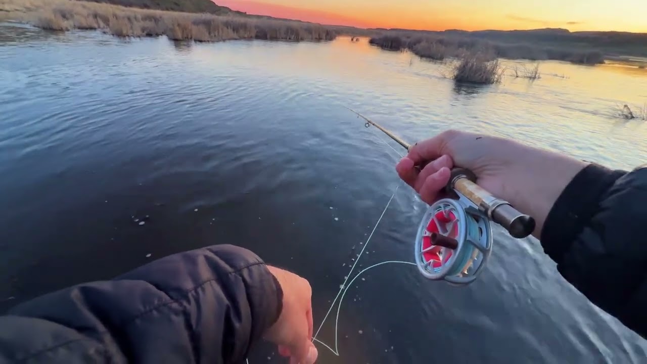 The Last Cast of the Day&hellip; Giant Trout