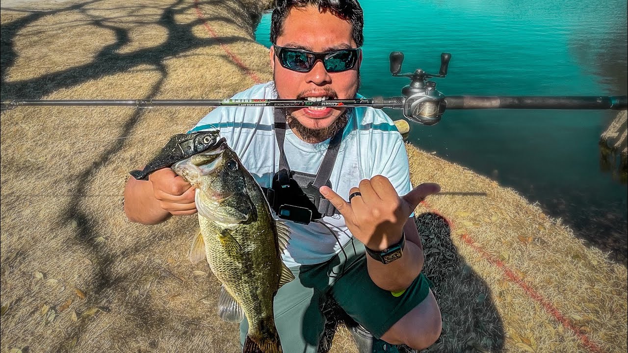 How to catch fish on the WORKINGCLASSZERO CITIZEN! (Step by step)