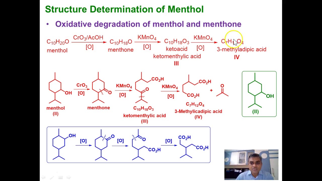 Lecture 4 Menthol