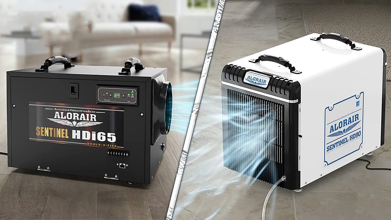 Best Crawl Space Dehumidifier to Keep Your Home Humidity Levels Up