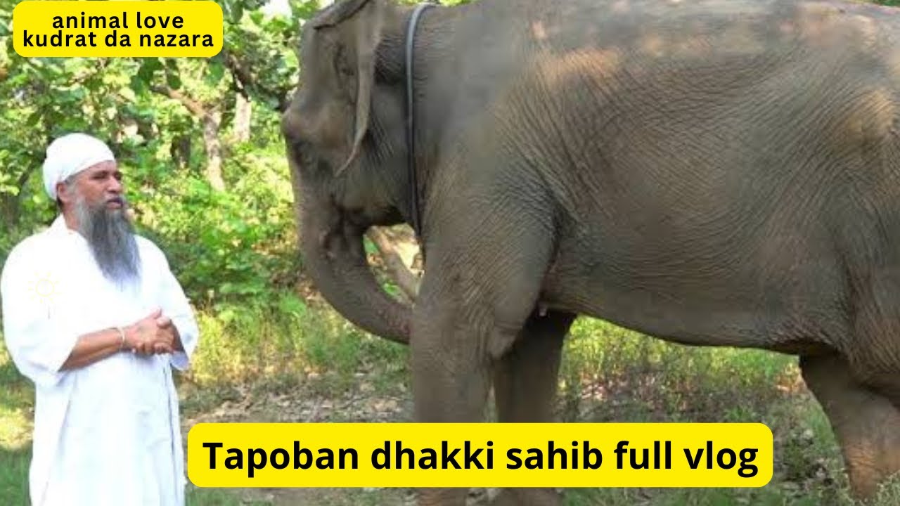 Tapoban dhakki sahib 2025 latest video #tapobandhakkisahib #trending #dharmik #sikhism