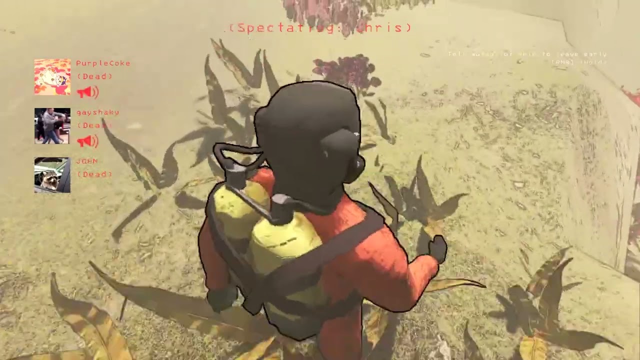 How we play lethal company