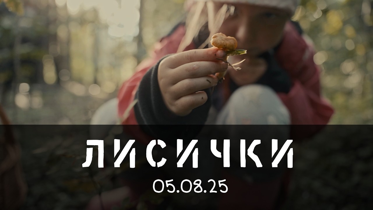 05 08 25 Собираем лисички