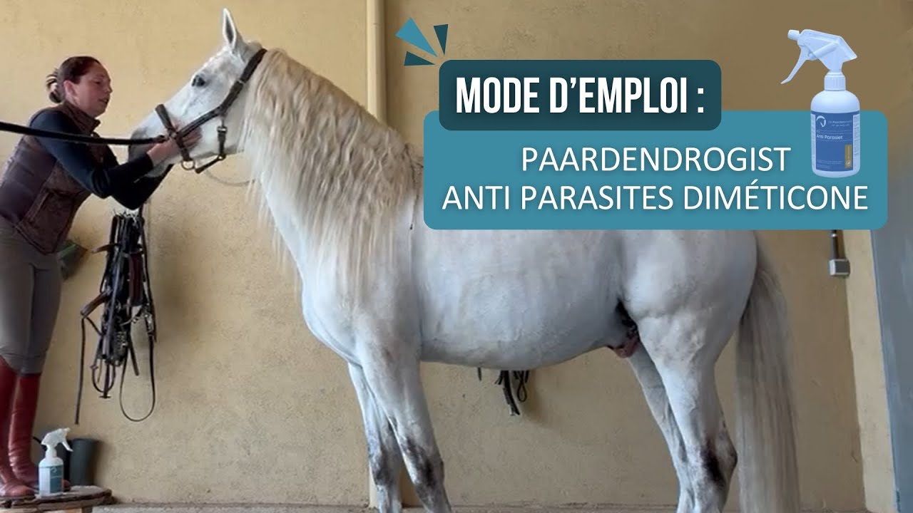 Comment utiliser le Spray Paardendrogist Anti Parasites Diméticone pour Chevaux ?