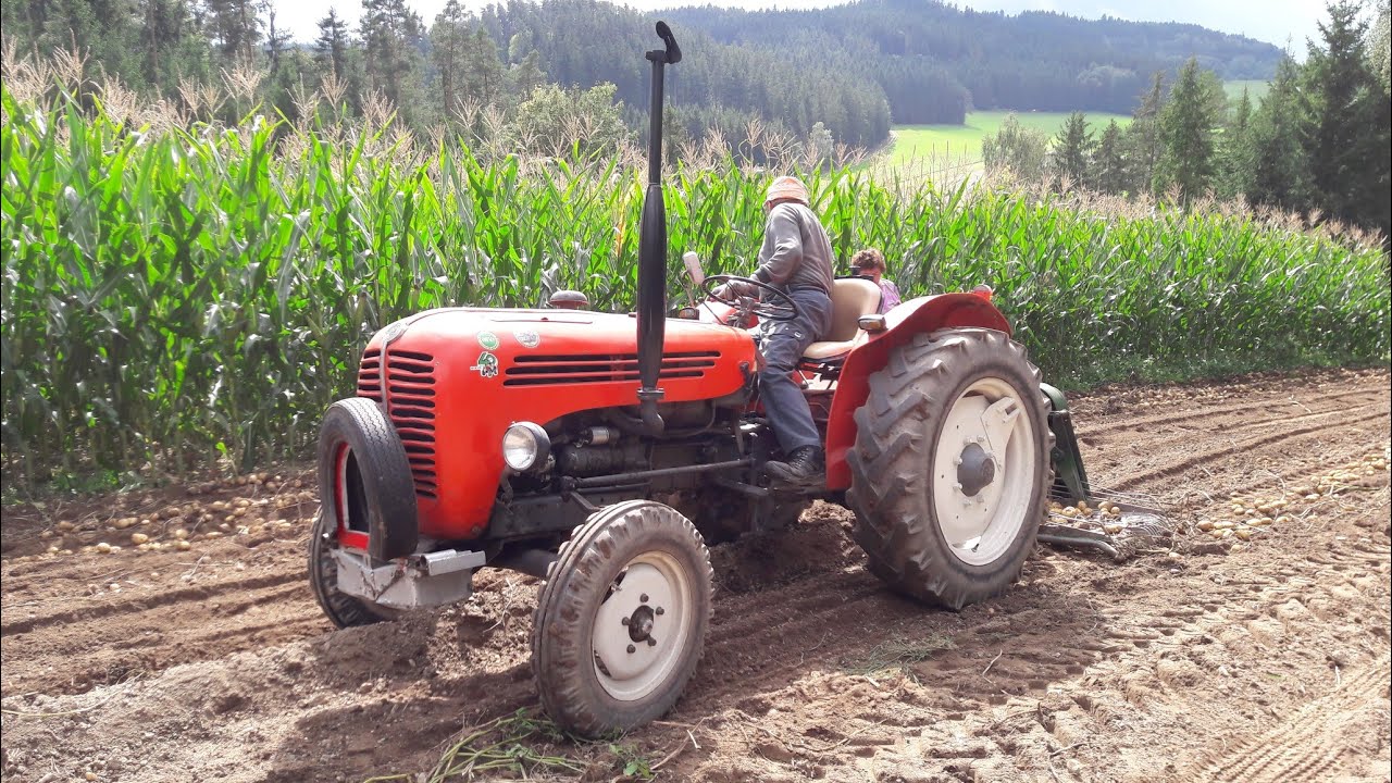 Dicke Rodetechnik in der Kartoffelernte! | Steyr 36 | Moareida Agrar