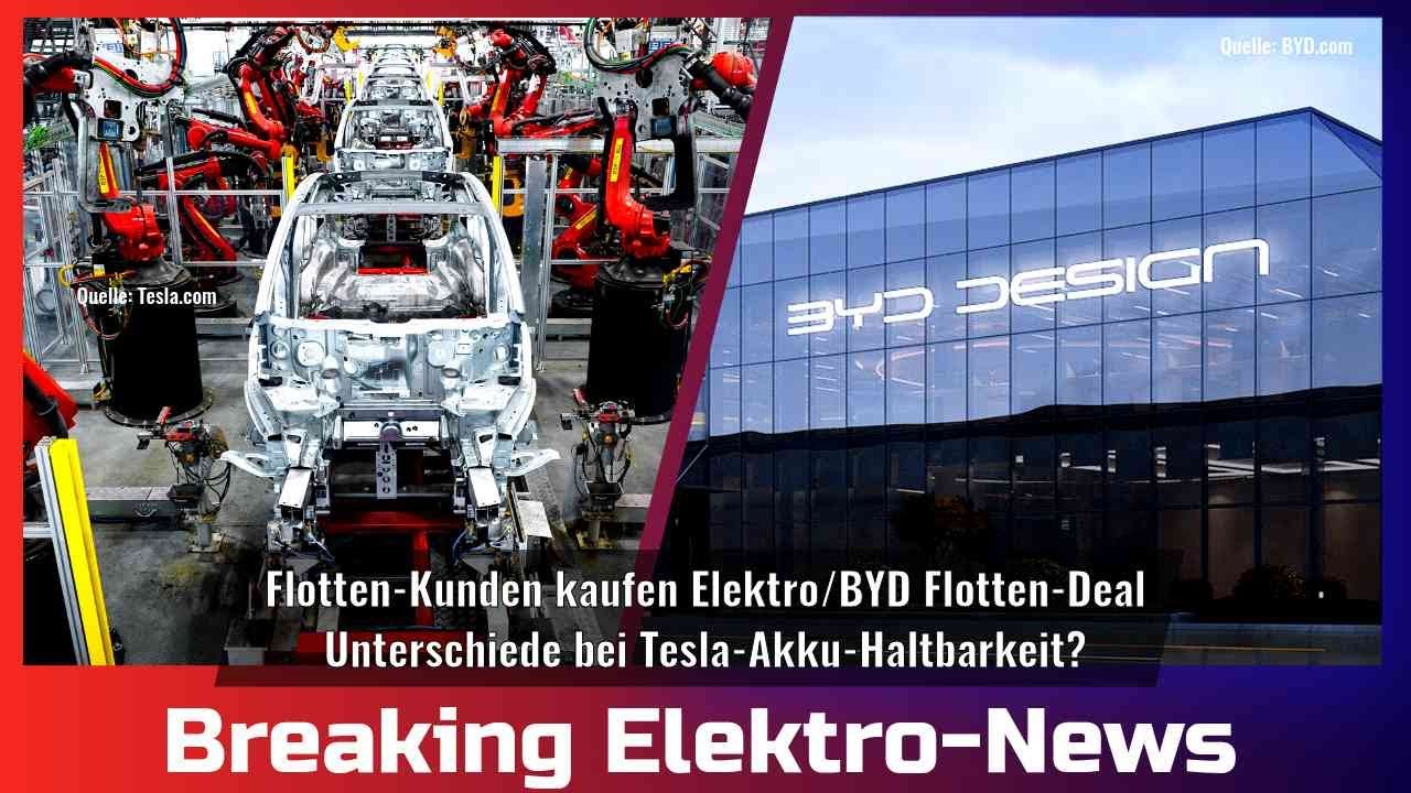 Breaking Elektro-News: Flotten-Kunden kaufen Elektro/BYD Flotten-Deal/Unterschiede Akku-Haltbarkeit