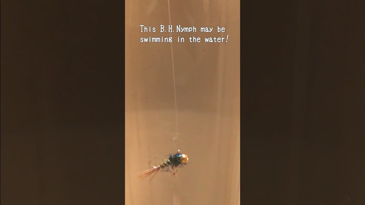 Bead Head Nymph