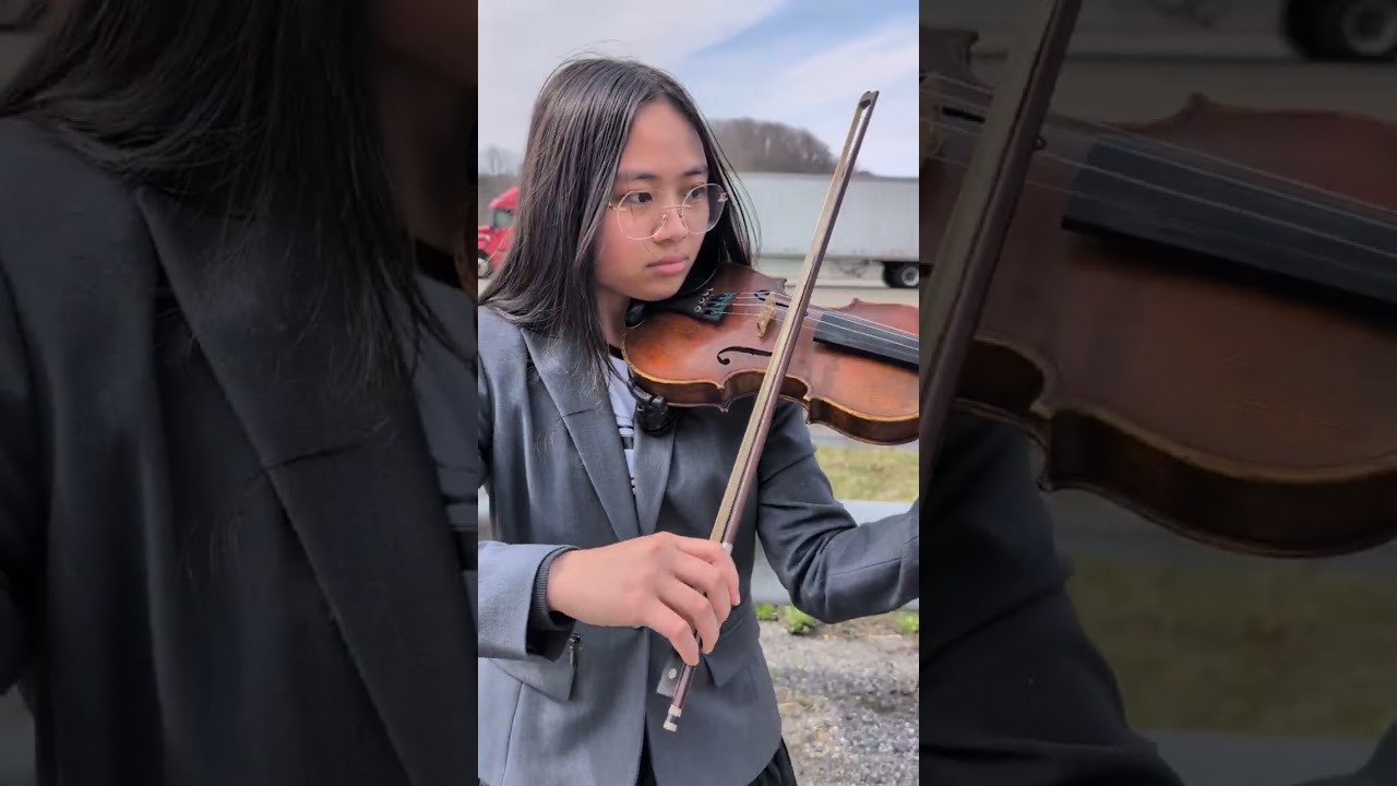 Pam - A Roadside Violinist
