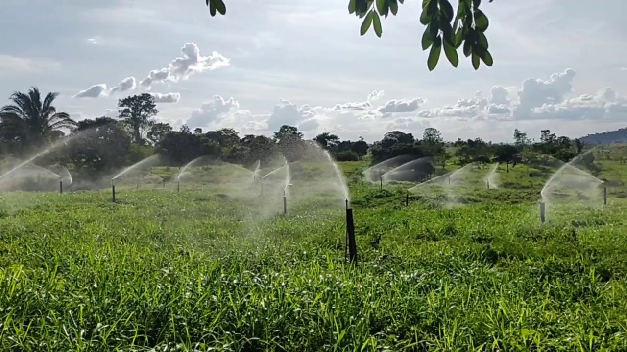 Irrigação de Pastagem - Projeto Água azul